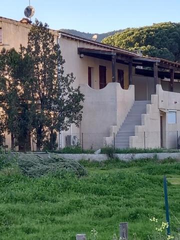 U Palmu Διαμέρισμα Sagone  Εξωτερικό φωτογραφία
